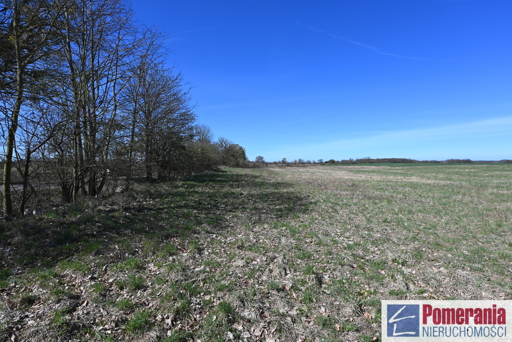 Działka Buk !!! 13579 m2 !!! (4)
