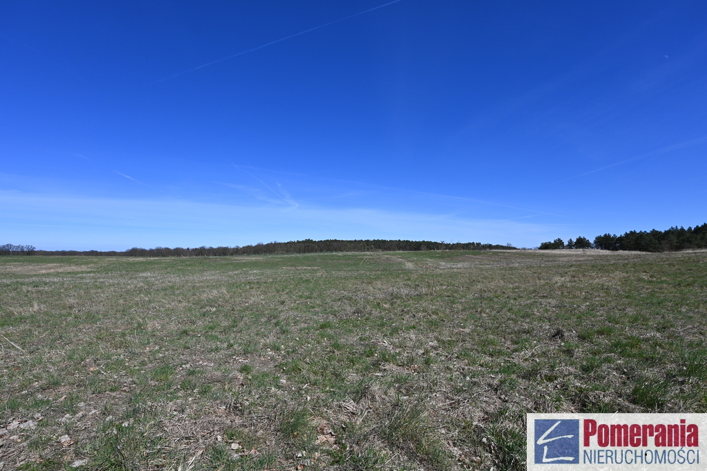 Działka Buk !!! 13579 m2 !!! (5)