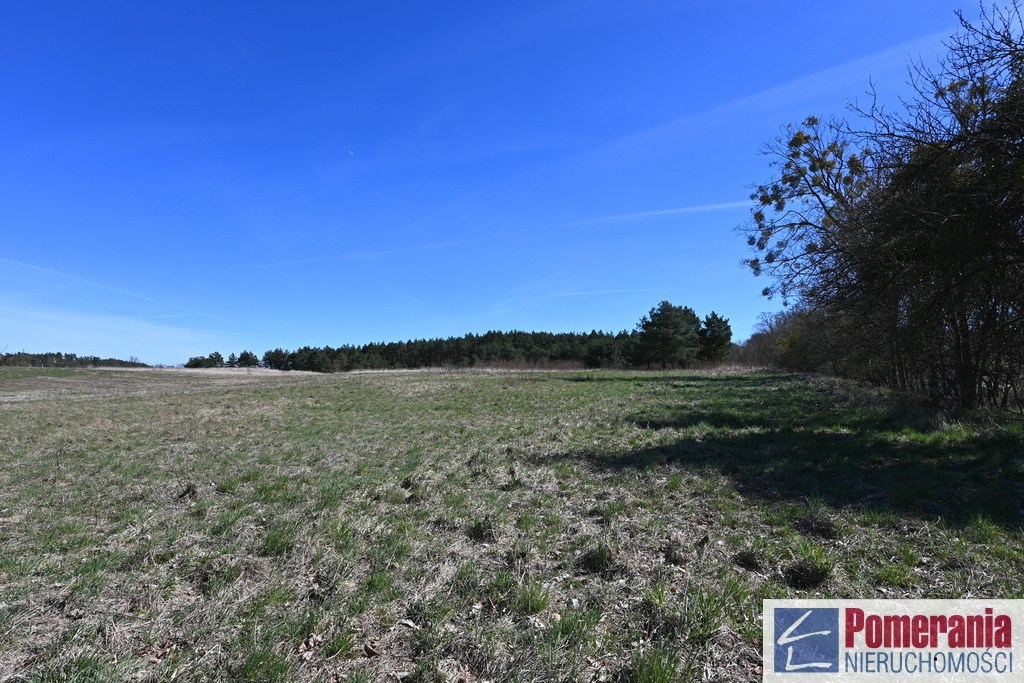 Działka Buk !!! 13579 m2 !!! (6)