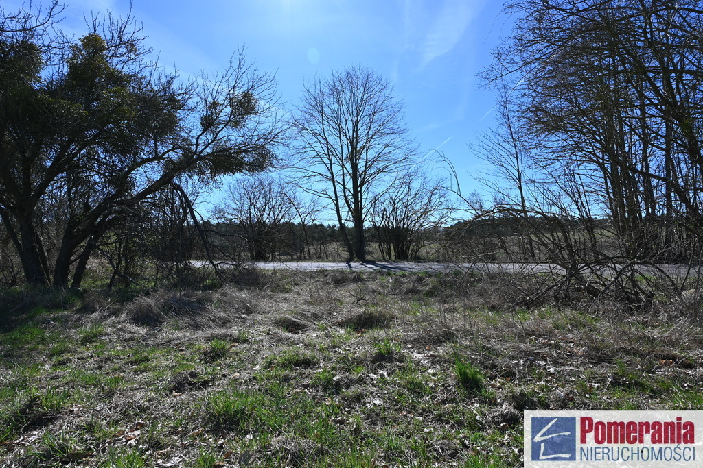Działka Buk !!! 13579 m2 !!! (7)