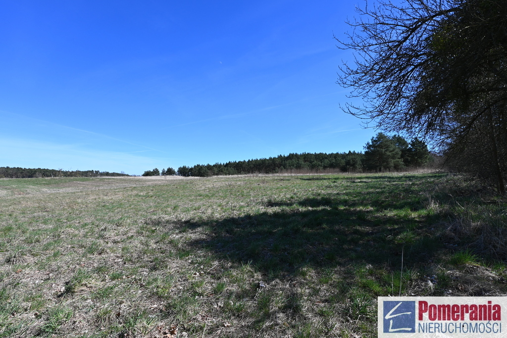 Działka Buk !!! 13579 m2 !!! (8)