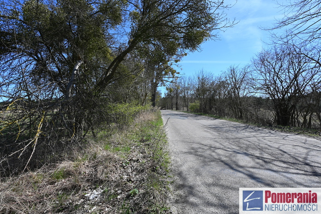 Działka Buk !!! 13579 m2 !!! (9)