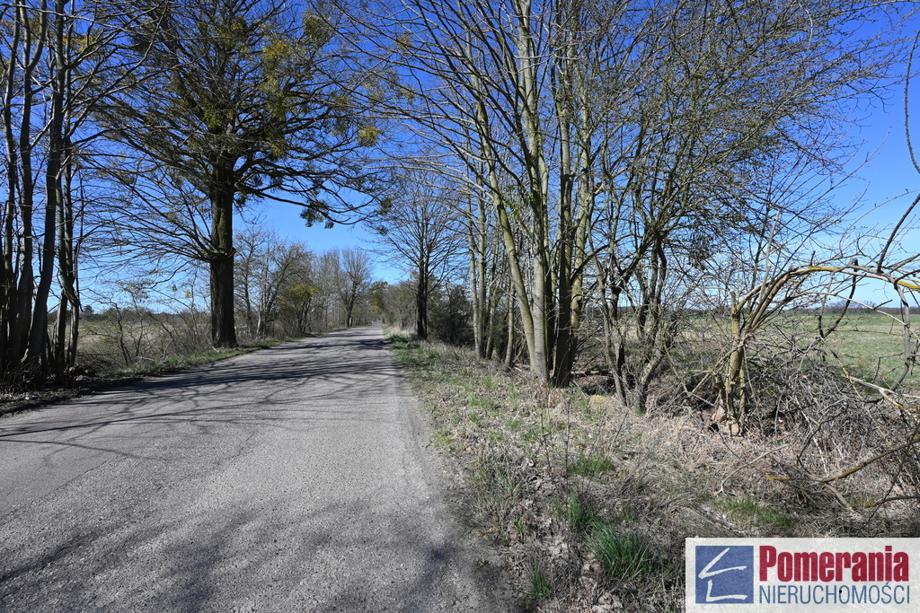 Działka Buk !!! 13579 m2 !!! (10)