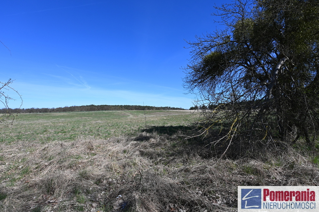 Działka Buk !!! 13579 m2 !!! (11)