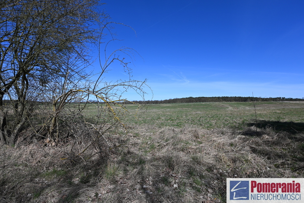 Działka Buk !!! 13579 m2 !!! (1)