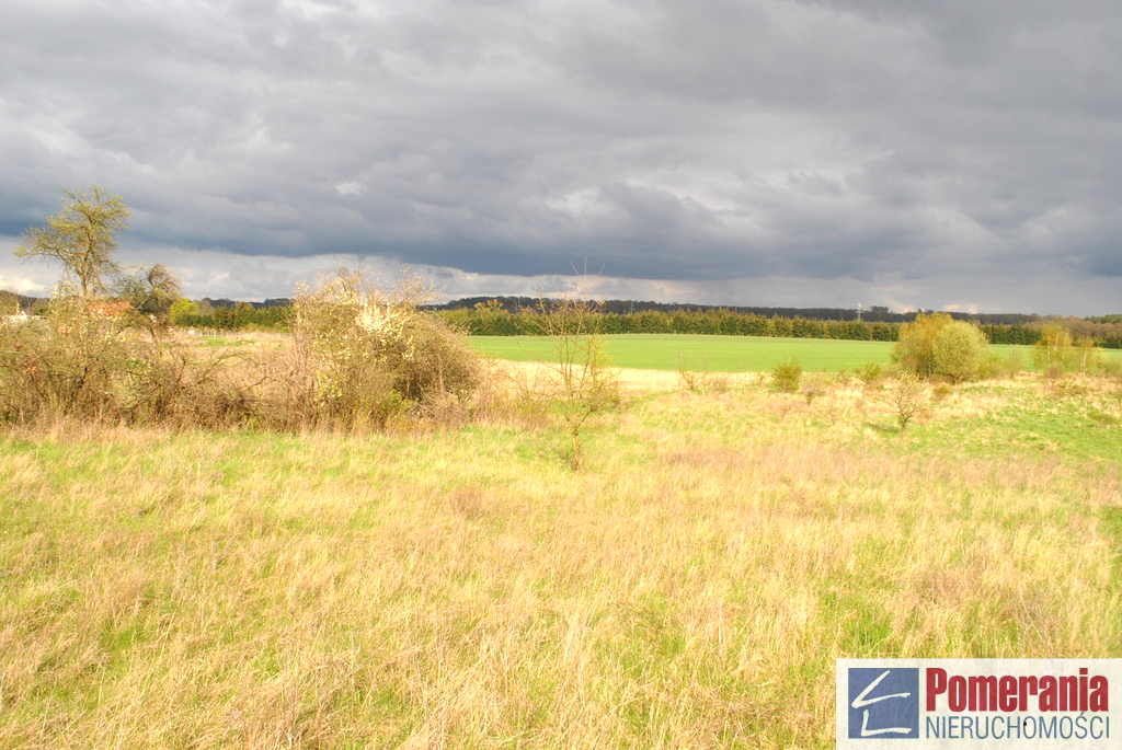 Działka w Binowie !!! 900 m2 (3)