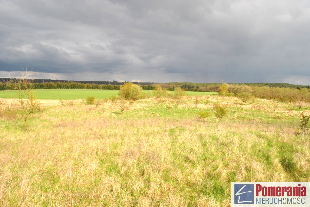 Działka w Binowie !!! 900 m2 (4)