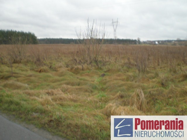 Działka Reptowo, studium - strefa przemysłowa !!! (1)