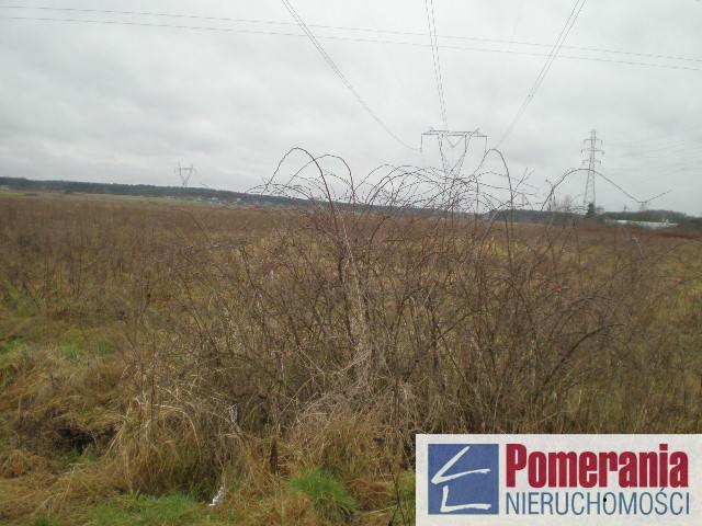 Działka Reptowo, studium - strefa przemysłowa !!! (2)