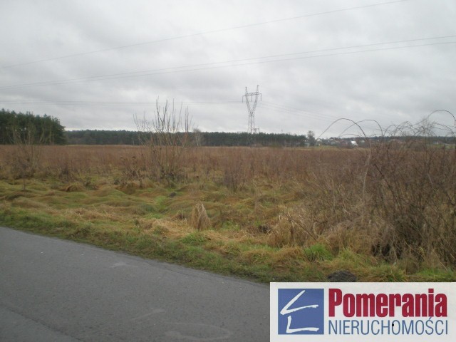 Działka Reptowo, studium - strefa przemysłowa !!! (3)