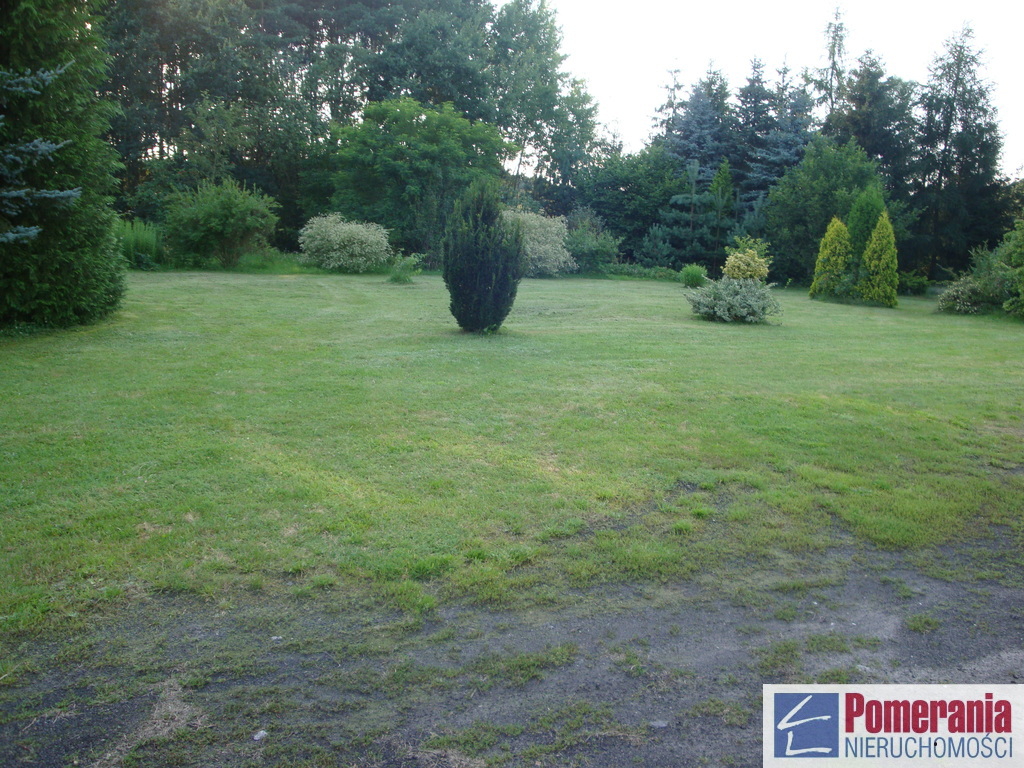 Tanowo hala 300m, mieszkanie 105m, dz. 6ys.1,8mln (21)