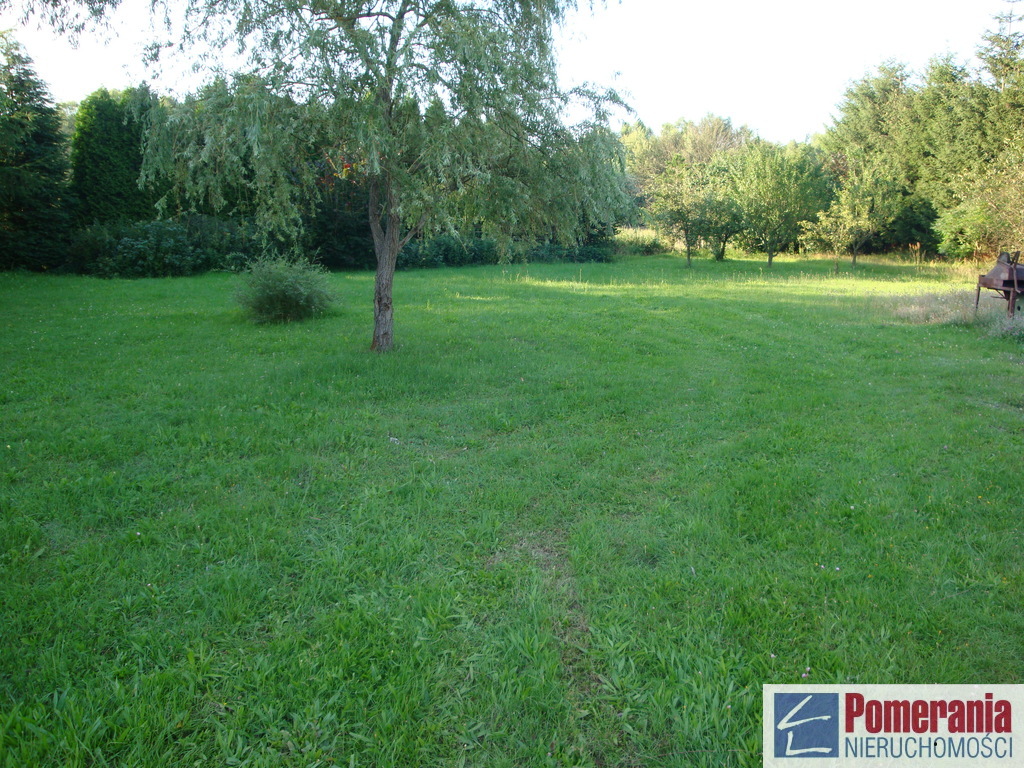 Tanowo hala 300m, mieszkanie 105m, dz. 6ys.1,8mln (20)