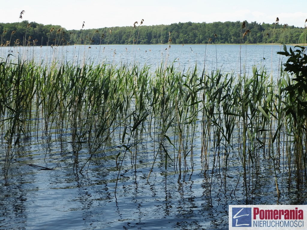 Działka z linią brzegową jeziora Ińsko !!! (2)