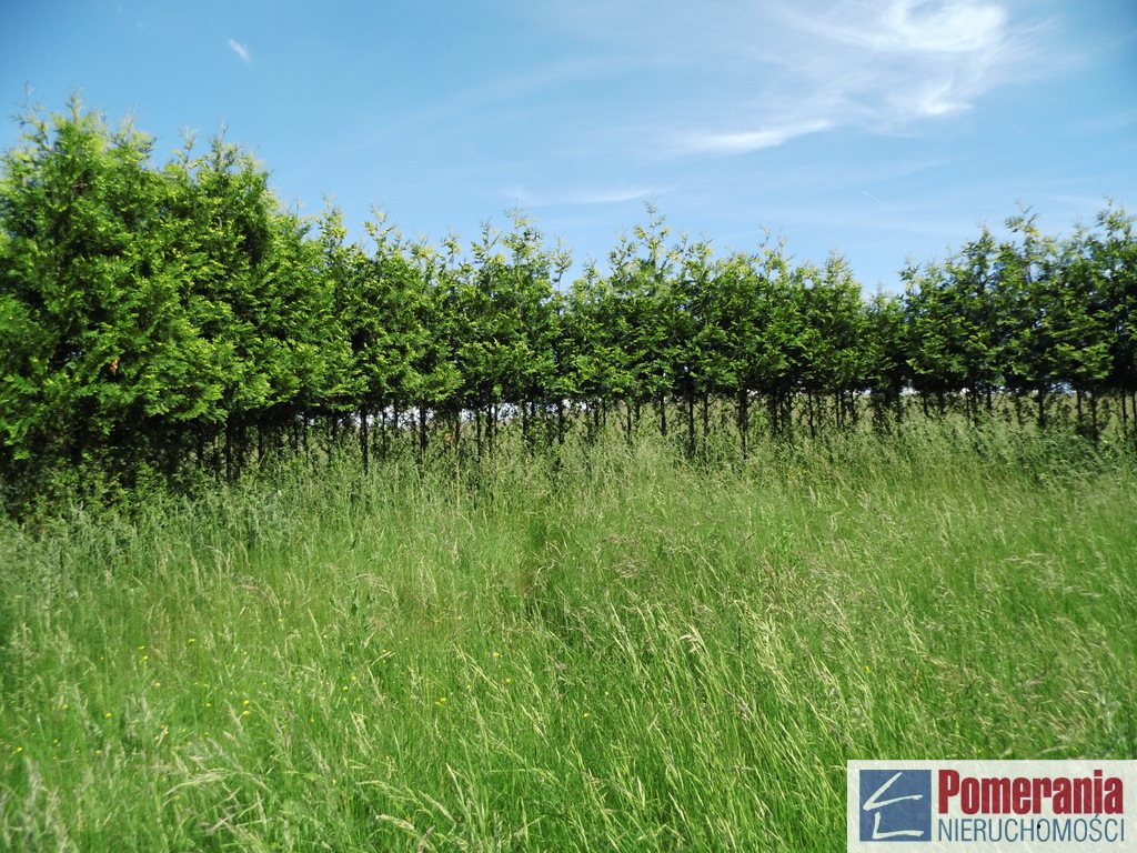 Działka z linią brzegową jeziora Ińsko !!! (3)