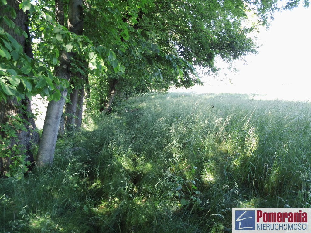 Działka z linią brzegową jeziora Ińsko !!! (4)