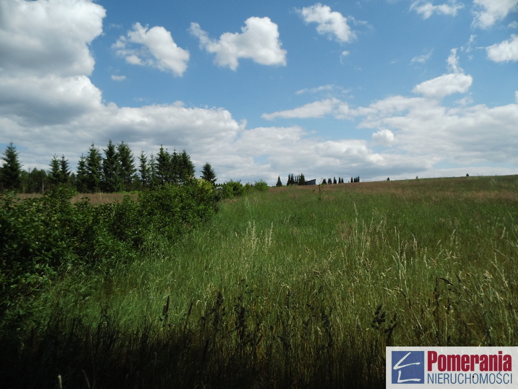 Działka z linią brzegową jeziora Ińsko !!! (6)