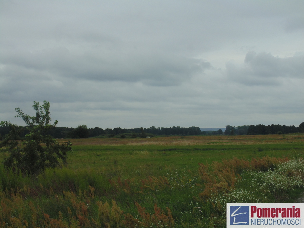Działka inwestycyjna w pobliżu autostrady A-6 (2)