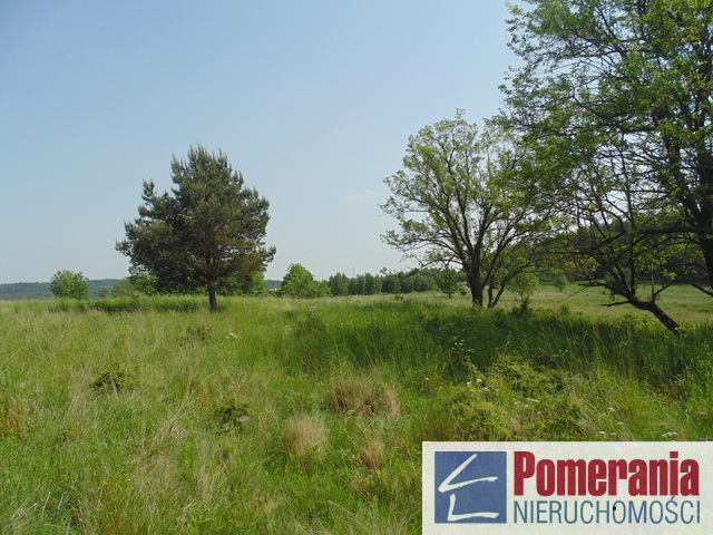 Działka Dargobądz !!! (1)