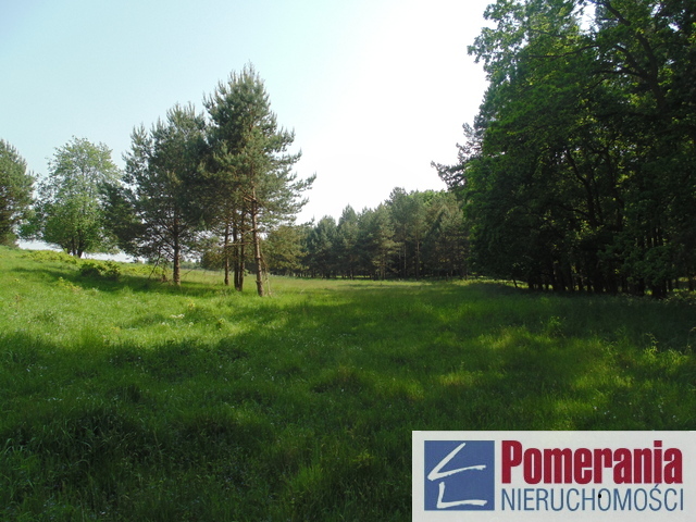 Działka Dargobądz !!! (2)