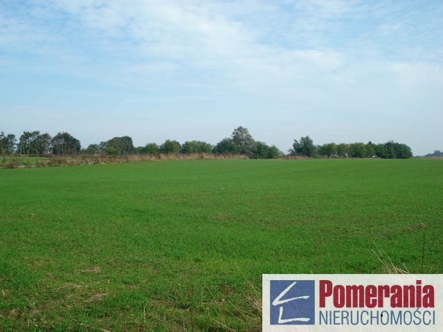 Siedliskowa, 18,751 m2, Wełtyń  (1)