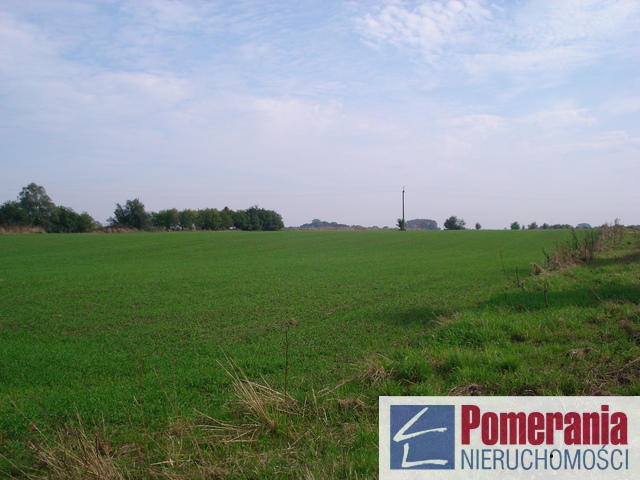 Siedliskowa, 18,751 m2, Wełtyń  (2)