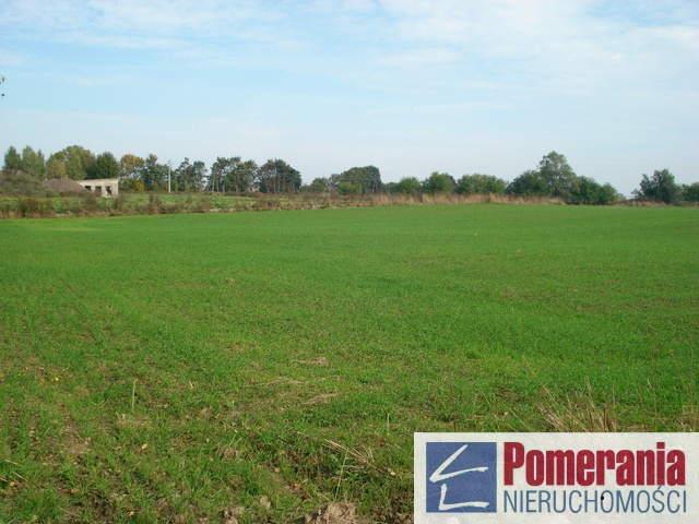 Siedliskowa, 18,751 m2, Wełtyń  (3)