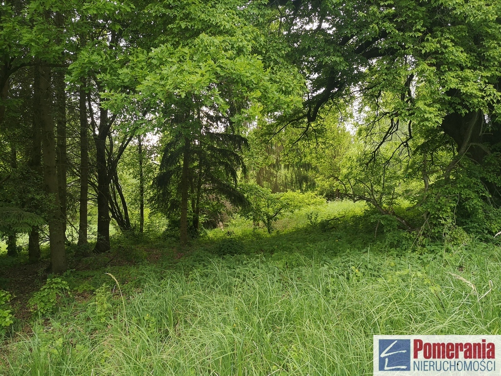 Działka Jezierzyce Szczecin !!! (1)