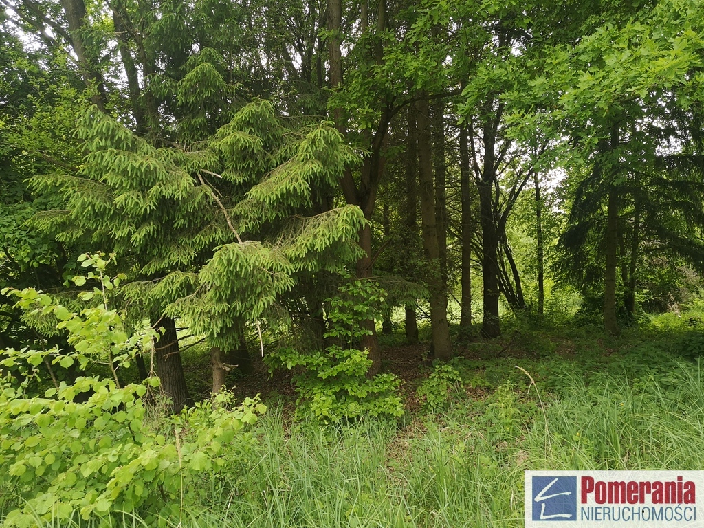 Działka Jezierzyce Szczecin !!! (2)