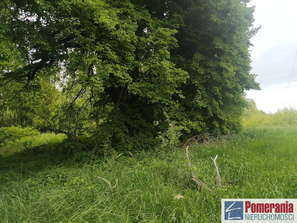 Działka Jezierzyce Szczecin !!! (3)