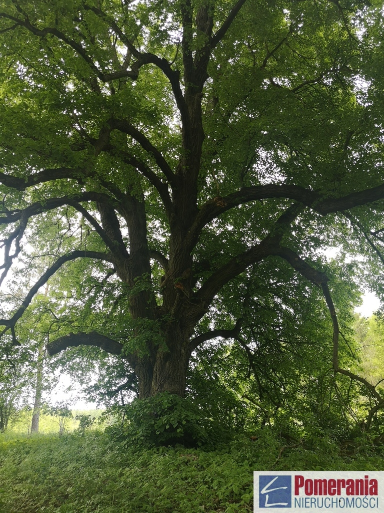 Działka Jezierzyce Szczecin !!! (4)