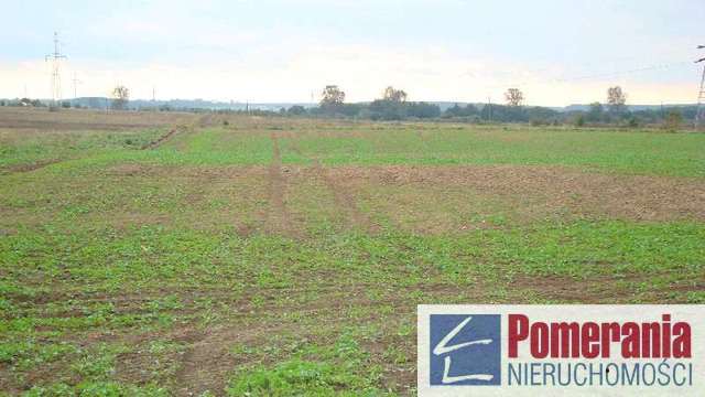 Rolna, 9,259 m2, Niechorze  (3)