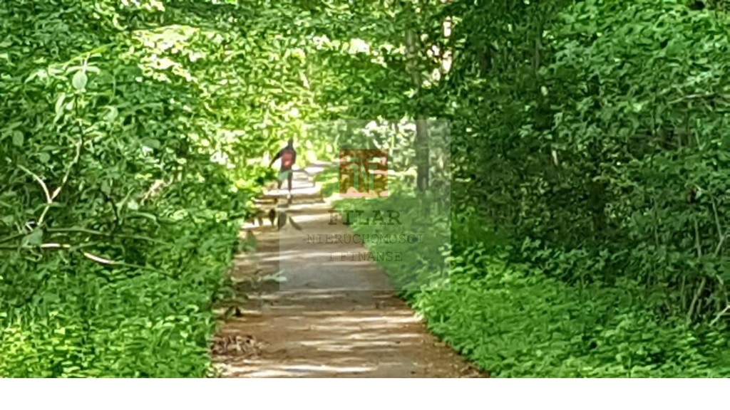 Działki z planem zagospodarownia-nad jeziorem! (3)