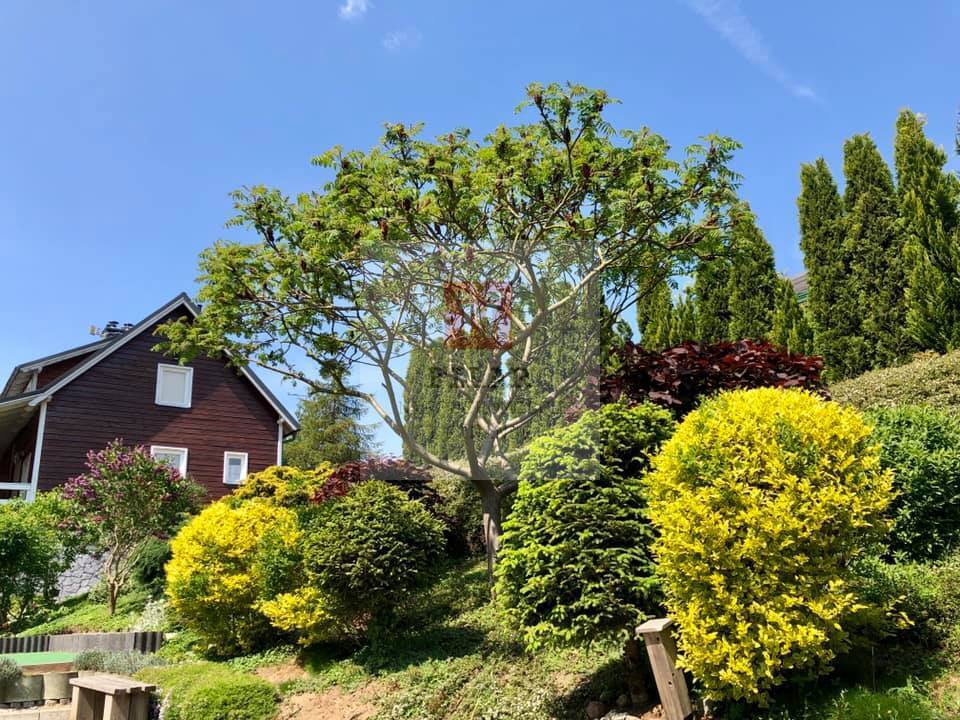 Rekreacyjny, 495 m2, Wisełka  (18)