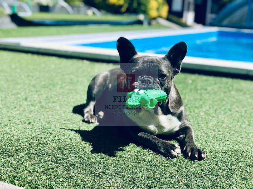 Rekreacyjny, 495 m2, Wisełka  (4)