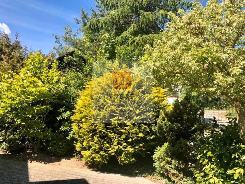 Obiekt, 495 m2, Wisełka  (28)