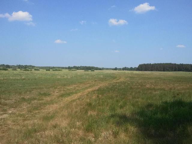 Rolna, 83,992 m2, Komarowo  (1)