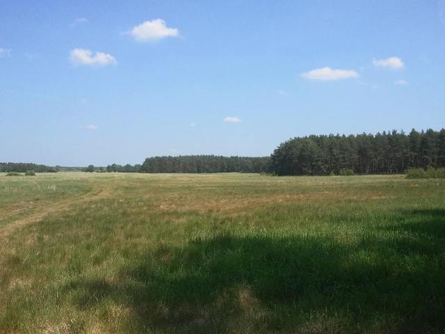 Rolna, 83,992 m2, Komarowo  (3)