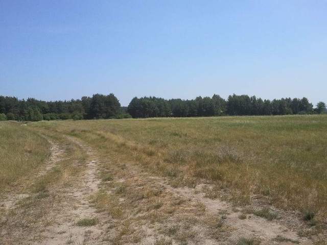 Siedliskowa, 23,000 m2, Lubczyna  (1)