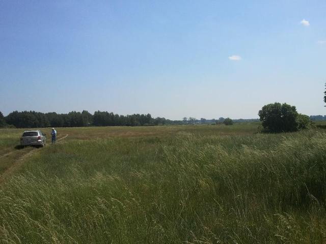 Siedliskowa, 23,000 m2, Lubczyna  (2)