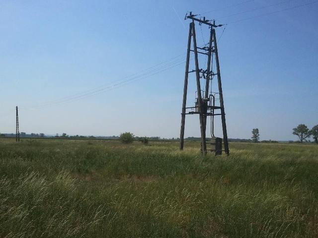 Siedliskowa, 23,000 m2, Lubczyna  (5)