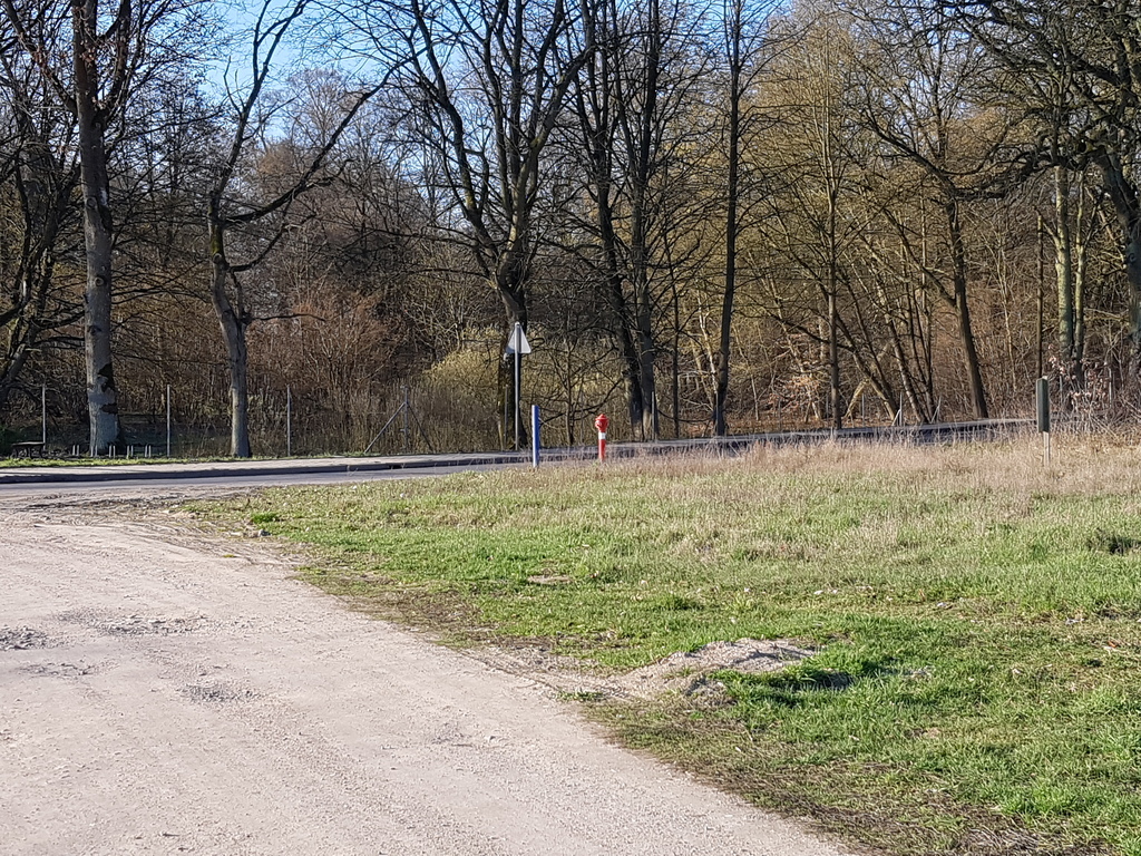 Działka z lasem (9)