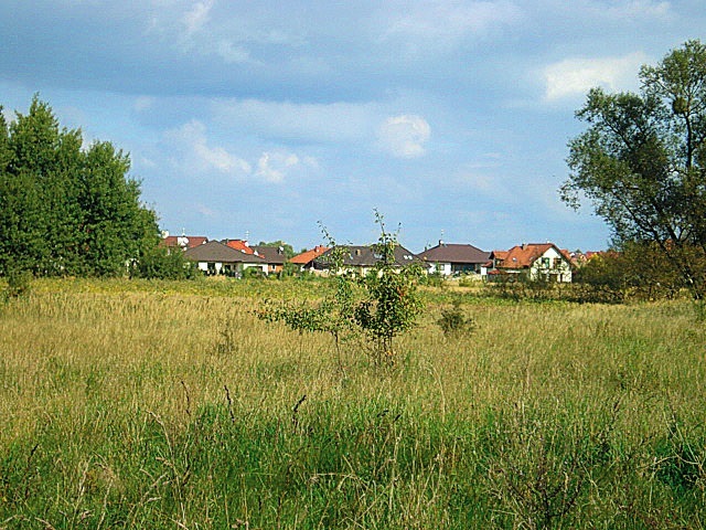 Działka z lasem (10)