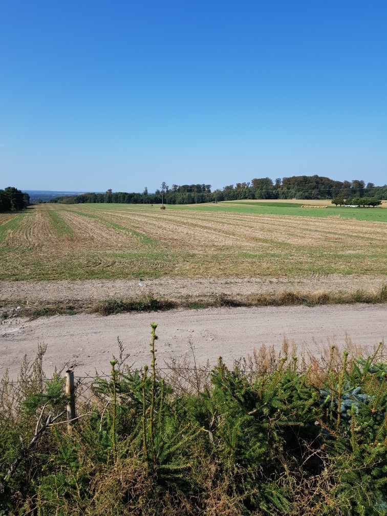 Działka w malowniczym miejscu (2)