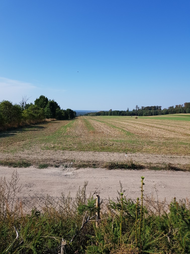 Działka w malowniczym miejscu (3)