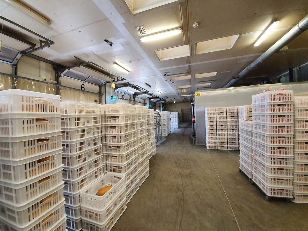 Obiekt-produkcja spożywcza (8)