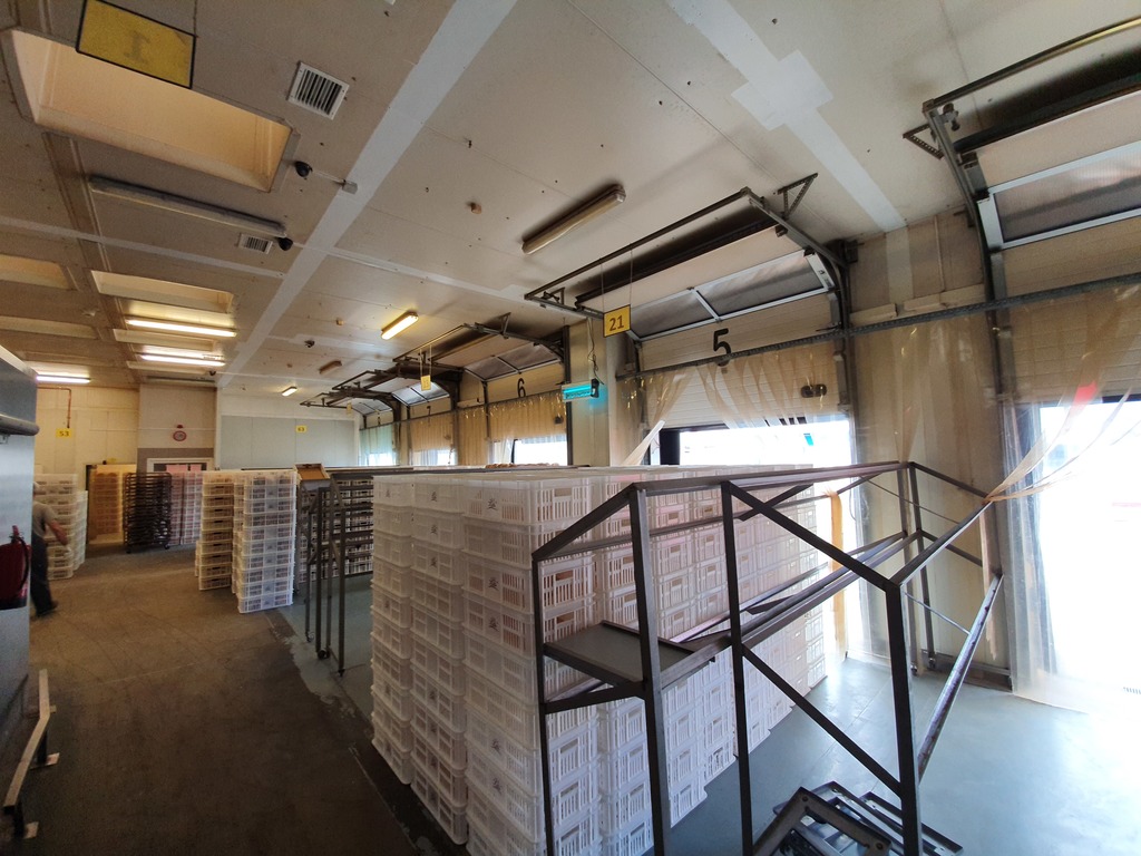 Obiekt-produkcja spożywcza (10)