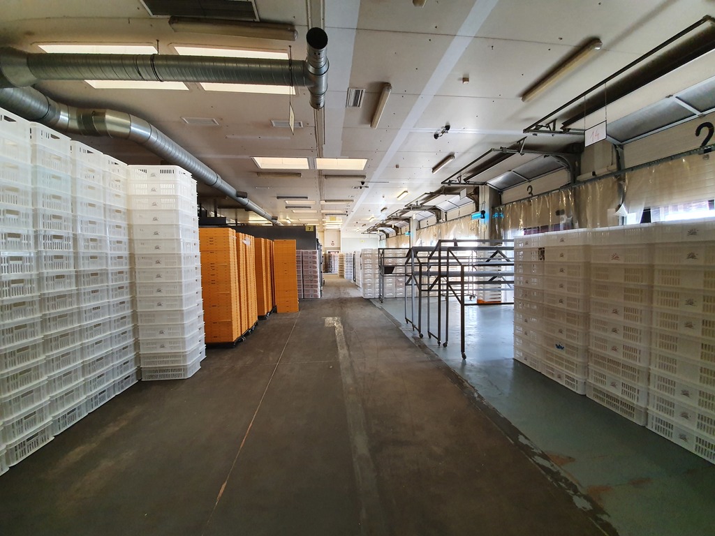 Obiekt-produkcja spożywcza (12)