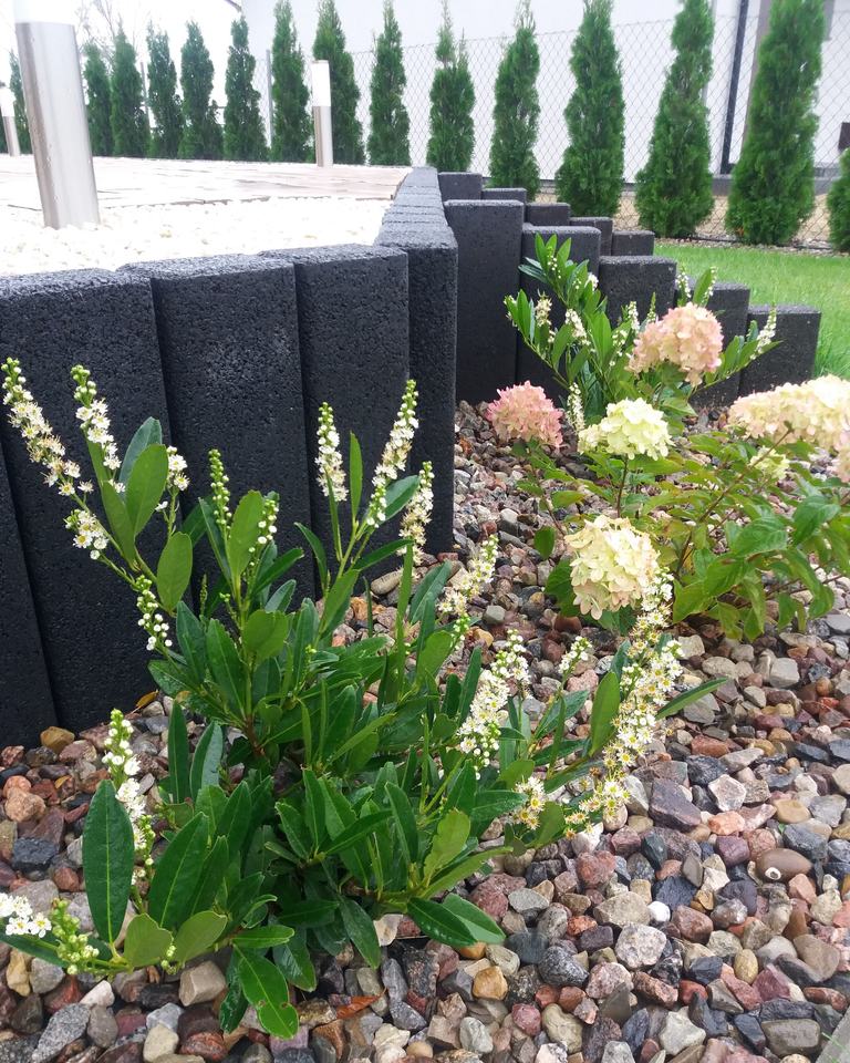 Dom niedaleko Szczecina i Stargardu (11)