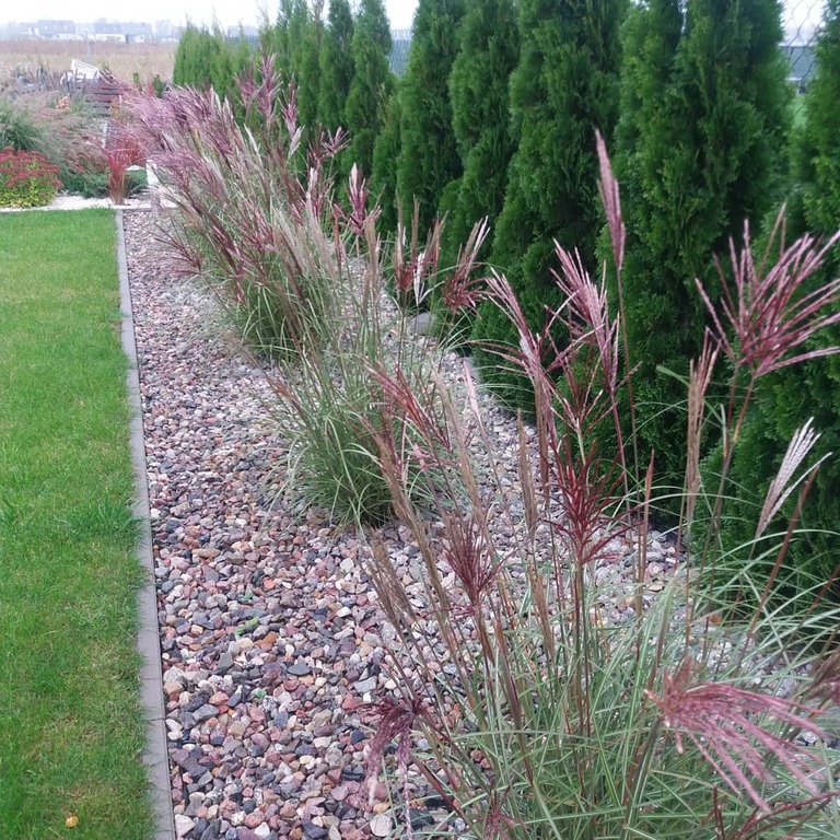 Dom niedaleko Szczecina i Stargardu (13)