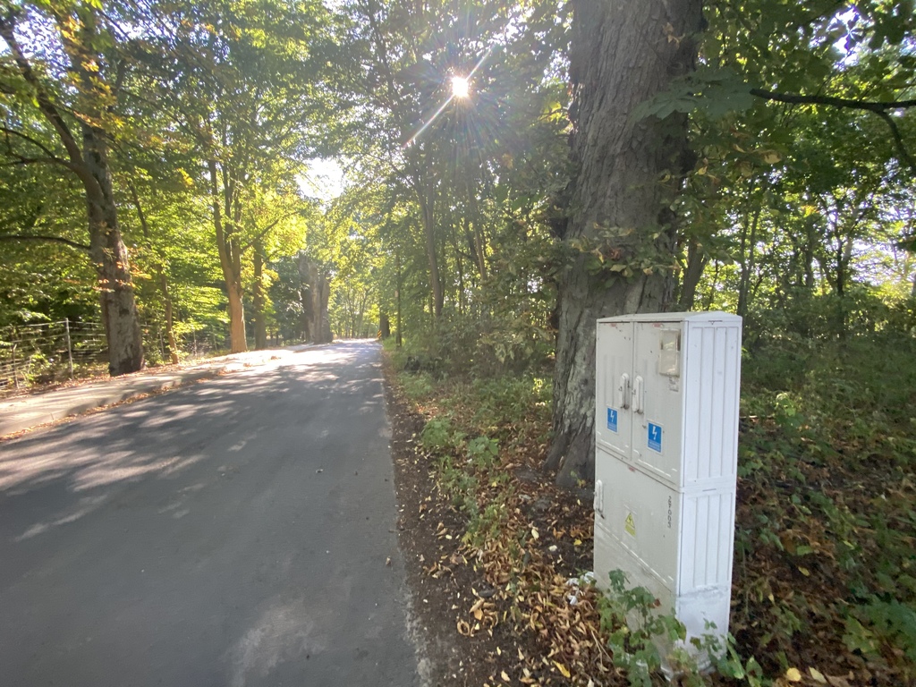 Działka przy lesie (3)